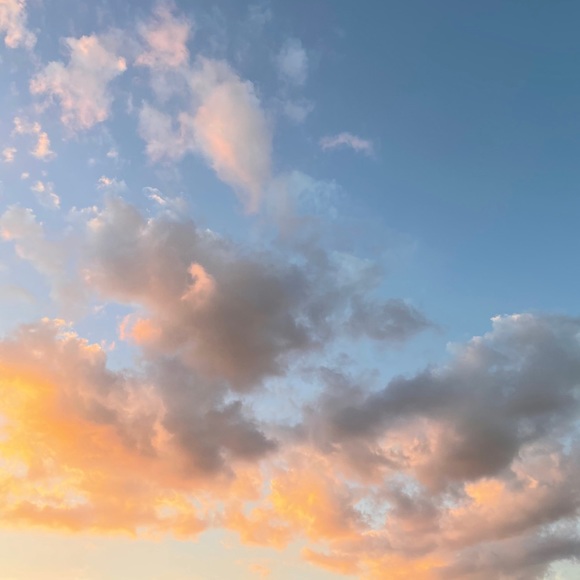 Meet your Posher, Claire - Picture 1 of 1